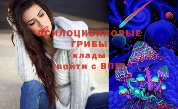 шишки Липки